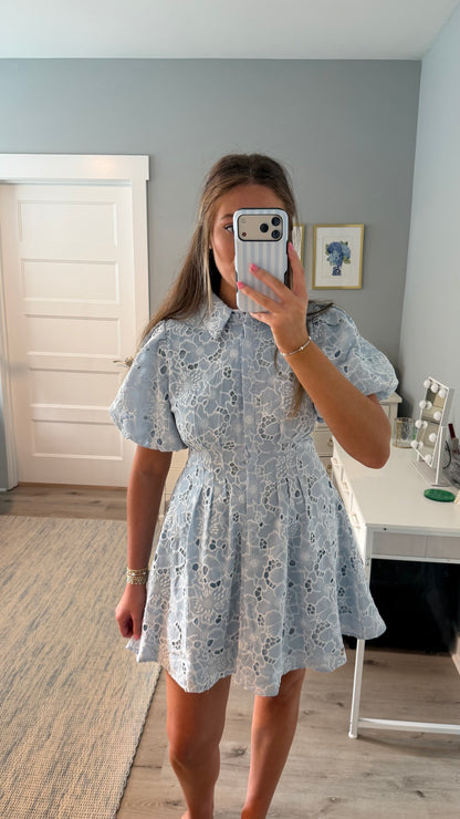 Blue Garden Mini Dress