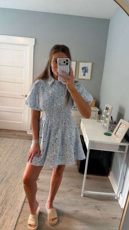 Blue Garden Mini Dress